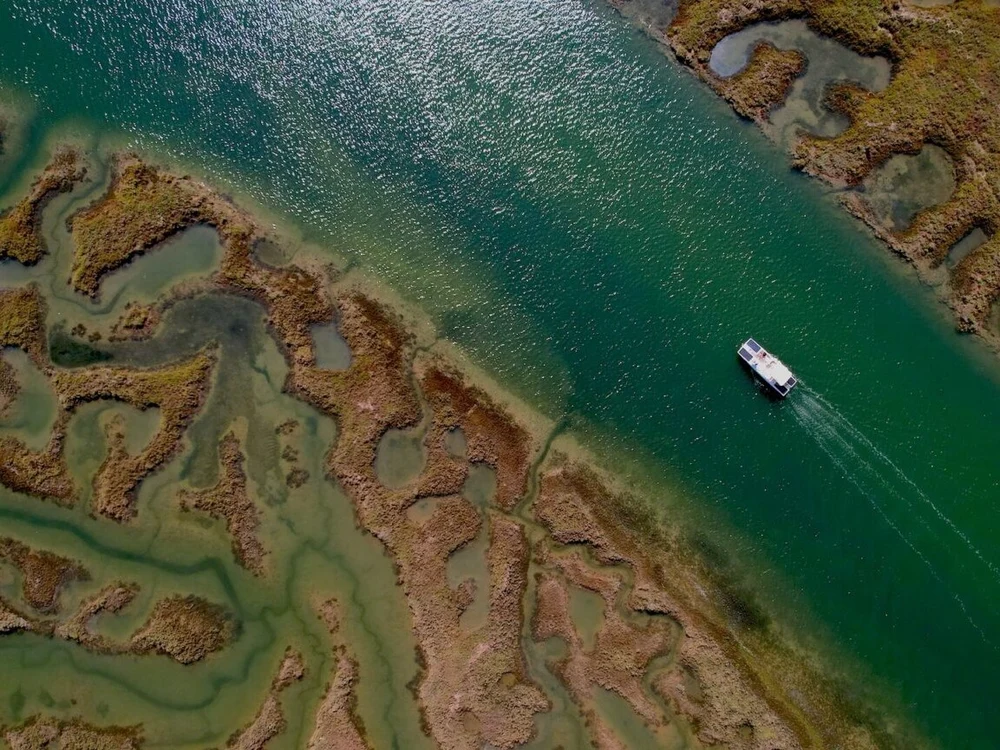 An aerial top-down view of a tour boat navigating the green, sunlit channels of the stunning Ria Formosa Natural Park in Faro.