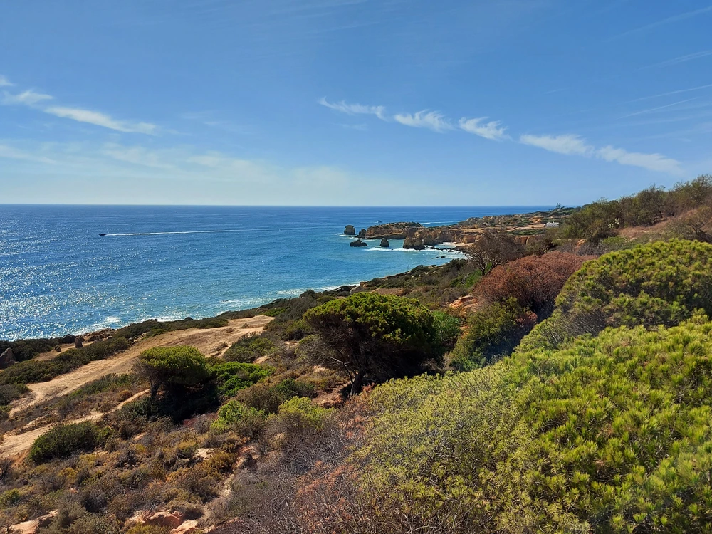 A scenic view of the Reserva Natural Caminho da Baleeira hiking trail in Albufeira, overlooking the rugged coastline and the blue Atlantic Ocean.
