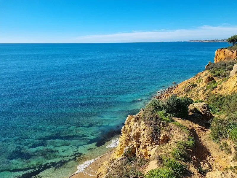 Ponta de Piedade Boardwalk Endpoint