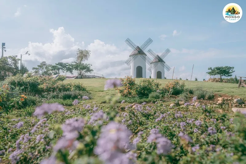 Mongo Land - Đà Lạt