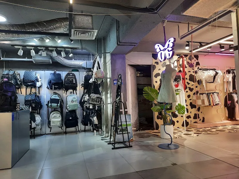 The New Playground