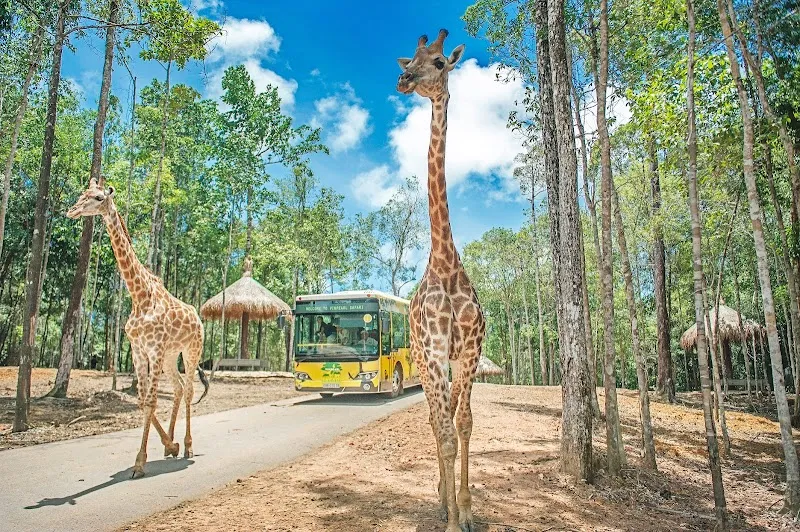 Vinpearl Safari Phú Quốc