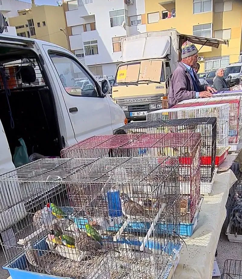 Feira de Velharias de Quarteira