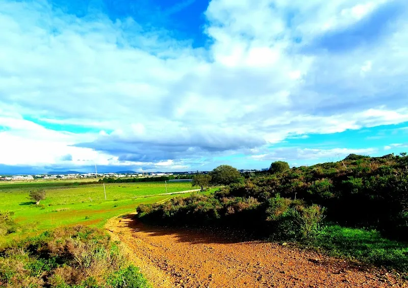 Estrada da Rocha Baixinha