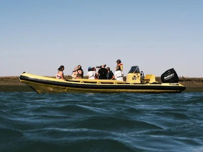 Tourists enjoying a scenic boat tour on the calm waters of the Ria Formosa Natural Park in Faro.