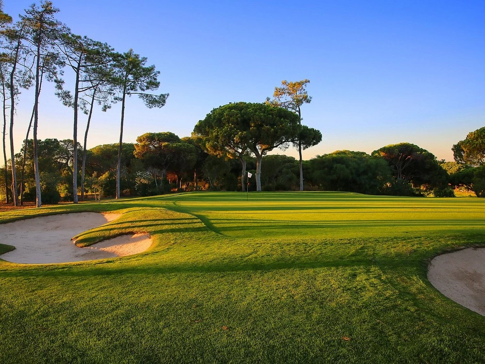 The perfectly manicured green and sand traps of the Dom Pedro Old Course in Vilamoura, framed by pine trees at sunset.
