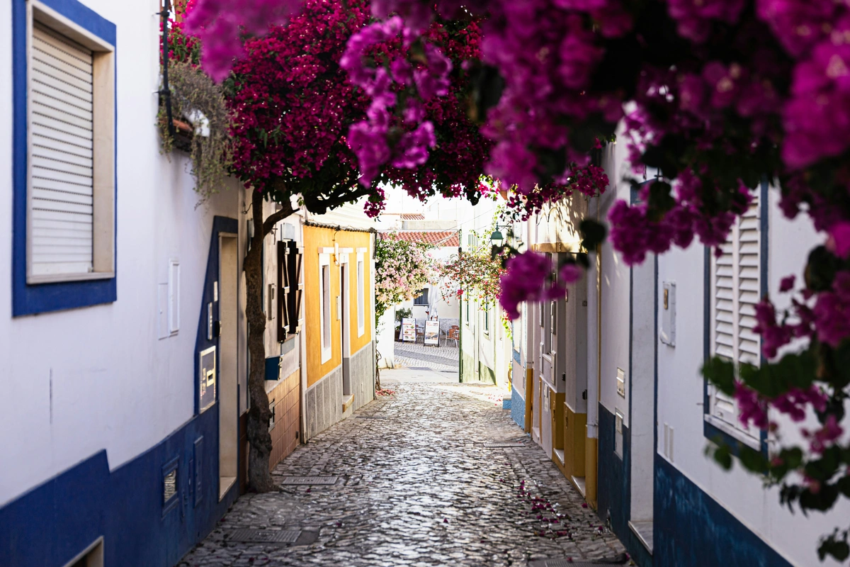 Cobblestone streets with flowers growing in homes in Ferragudo