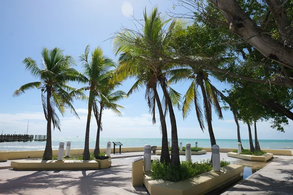 Key West Travel Guides