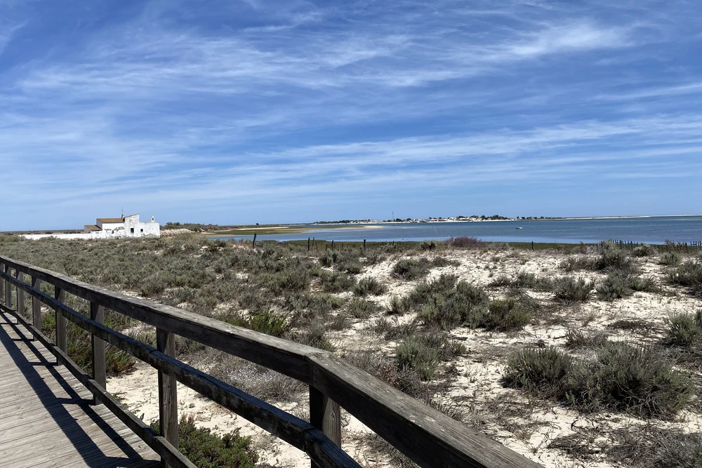 Wooden boardwalk through the coastal scrubland of Parque Natural da Ria Formosa with a distant white building near Olhao, Portugal.