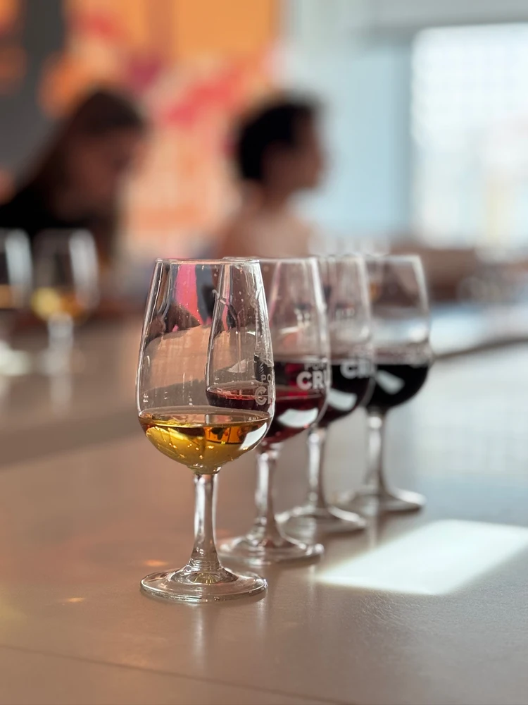 A lineup of glasses with different varieties of Port wine for a tasting tour in a Porto cellar.