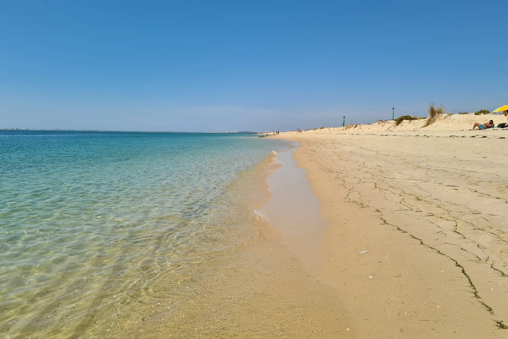 Wide shot of Praia da Armona's pristine sandy beach with clear, shallow turquoise water in Ria Formosa, Olhao, Portugal.