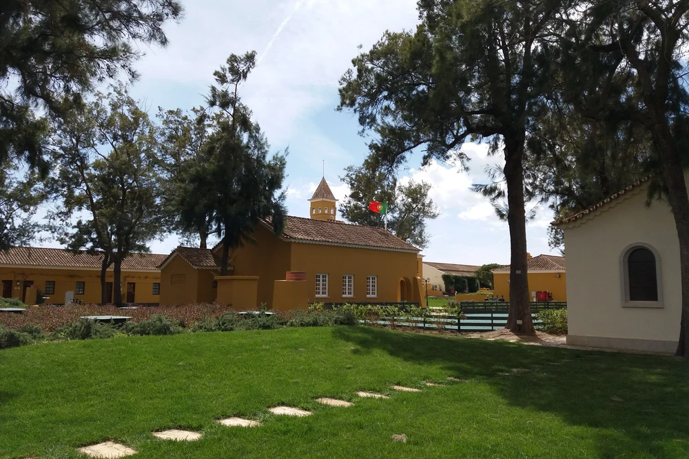 Museu do Atum, the bright yellow Tuna Fishing Museum building in Tavira, Portugal, surrounded by trees and green lawn.