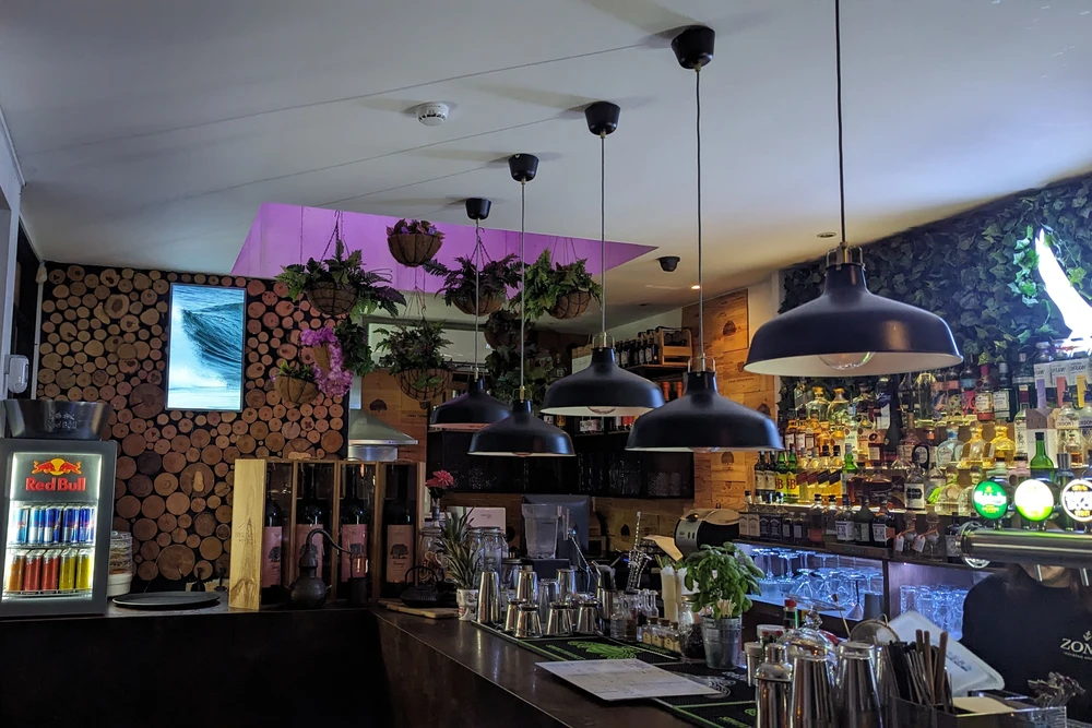 Interior of Zona Cocktail Bar with hanging plants, industrial lights, and a bar counter decorated with a wooden log wall in Olhao, Portugal.